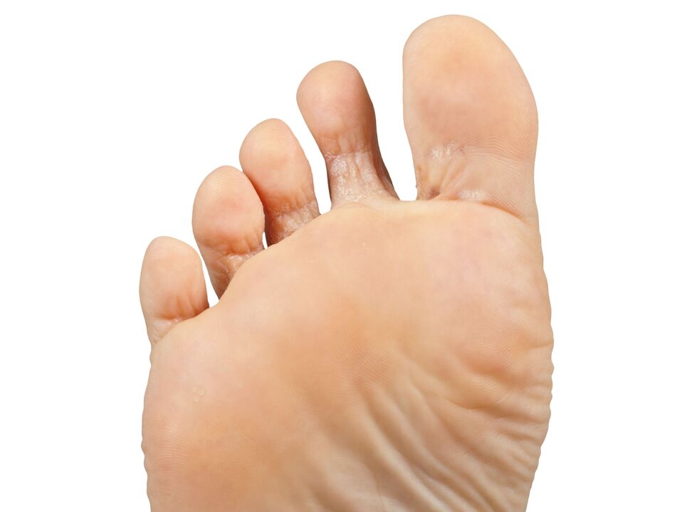 Front-Gusto-Ectico-Crema-Dossel